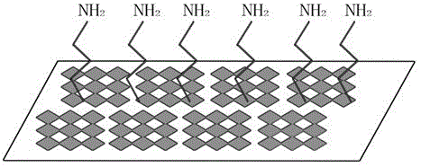 Active amino-modified substrate for microarray and preparation method of active amino-modified substrate