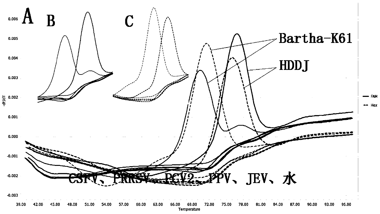 A two-color fluorescent detection method, primers and probes for rapidly distinguishing prv Chinese type, European and American type and vaccine strains