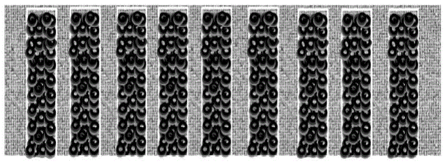 Foam graphene skeleton reinforced copper-base composite material and preparation method thereof