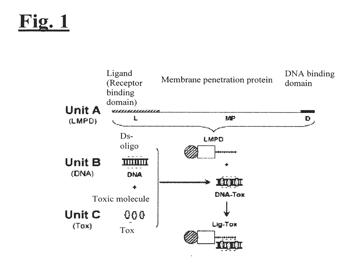 Targeting trastuzumab-resistant her2+ breast cancer with a her3-targeting nanoparticle