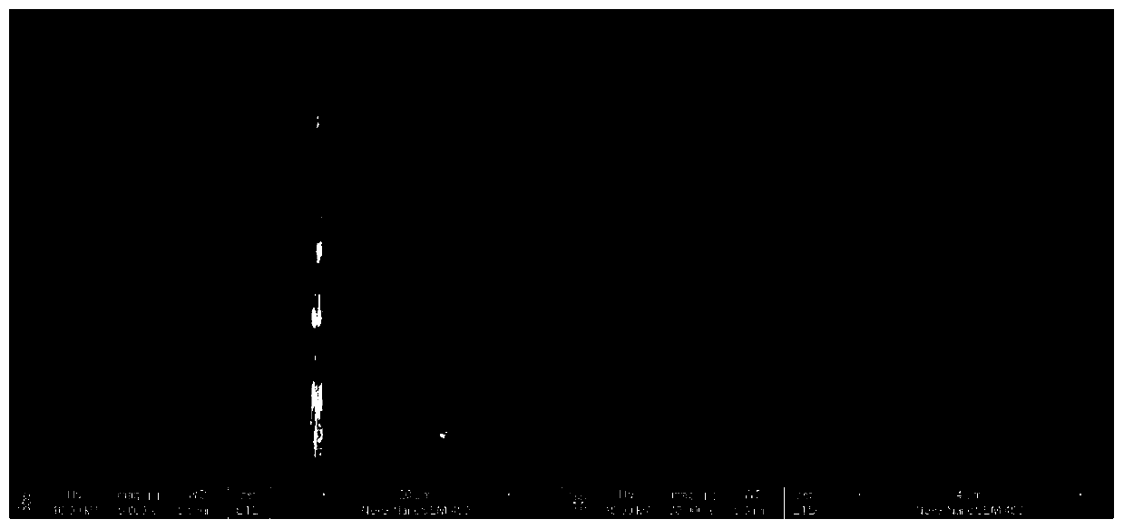 Preparation method and application of carbon paper or carbon cloth supported hetero atom-doped molybdenum carbide hydrogen evolution catalyst