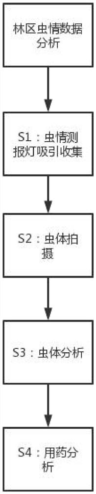 Forestry insect disaster occurrence prediction method based on big data analysis