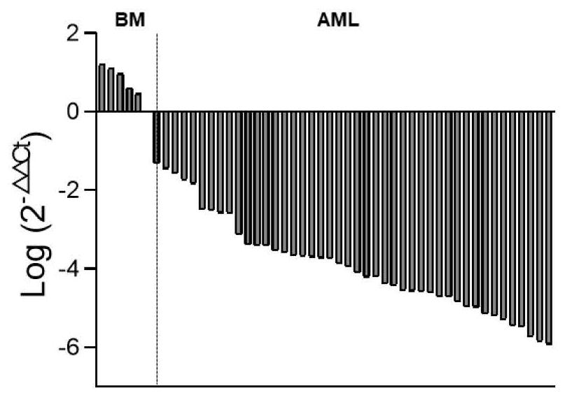 Application of miR-31-5p in acute myelogenous leukemia