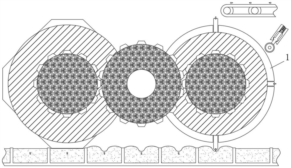 Camellia oleifera seedling culture device for hilly land planting