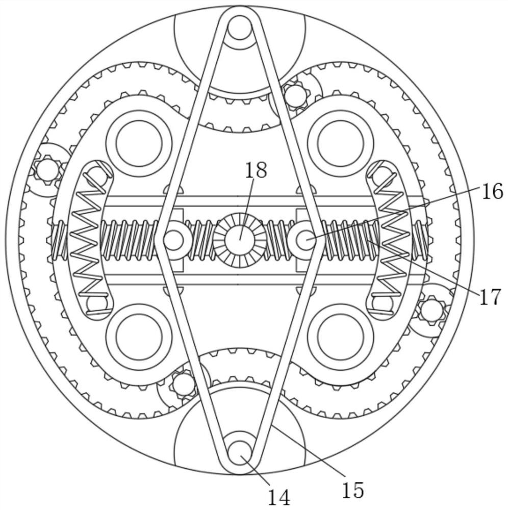 Camellia oleifera seedling culture device for hilly land planting