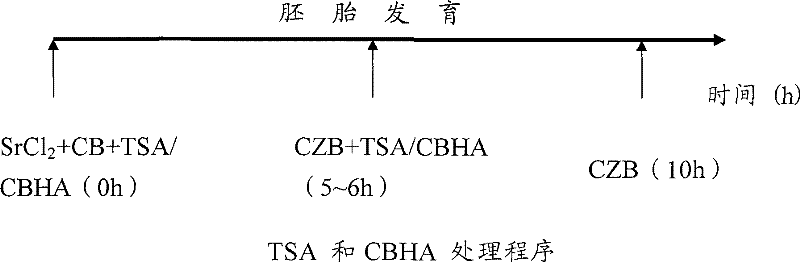 Method for improving reprogramming efficiency of somatic cells