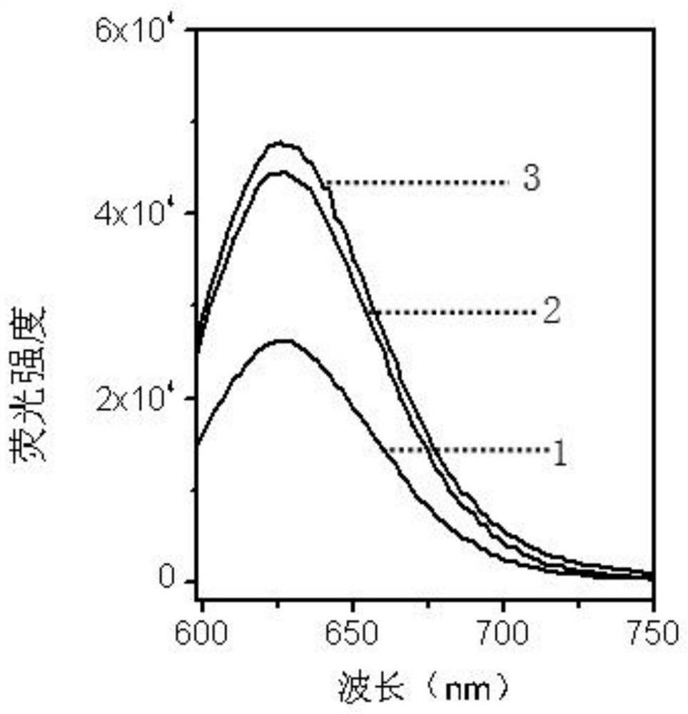 Multi-branched nucleic acid nano-silver fluorescent clusters, preparation method and application