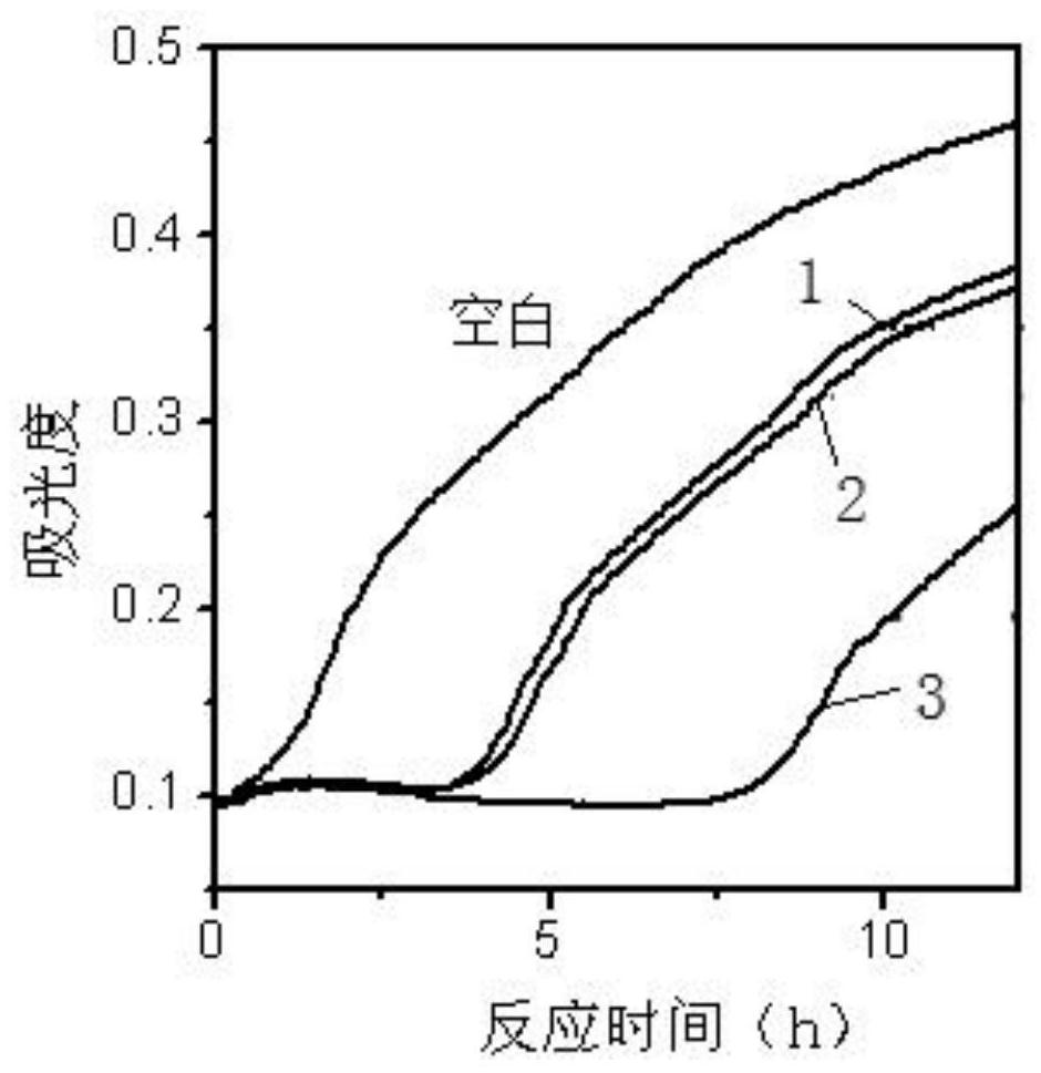 Multi-branched nucleic acid nano-silver fluorescent clusters, preparation method and application