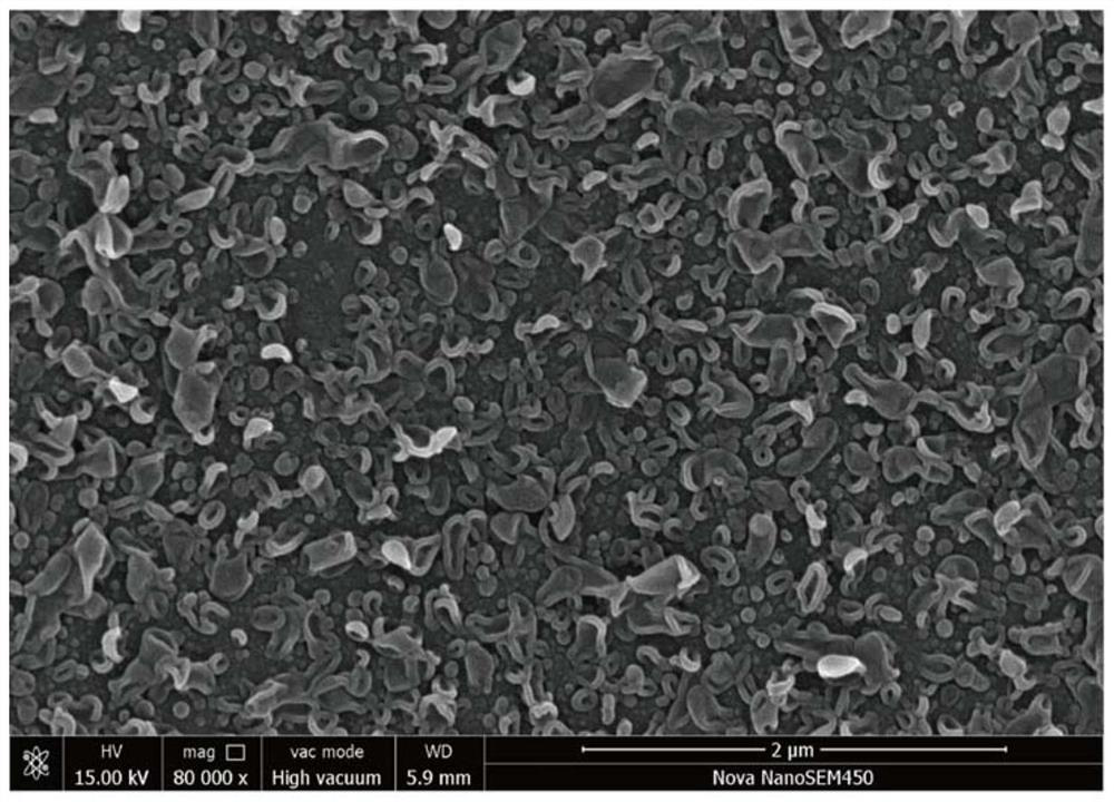 A high-flux anti-pollution polyamide composite reverse osmosis membrane and its preparation method