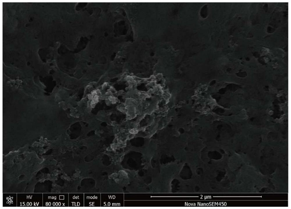 A high-flux anti-pollution polyamide composite reverse osmosis membrane and its preparation method