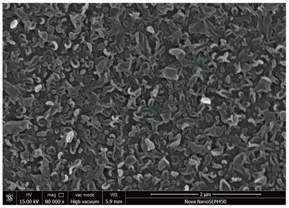 A high-flux anti-pollution polyamide composite reverse osmosis membrane and its preparation method