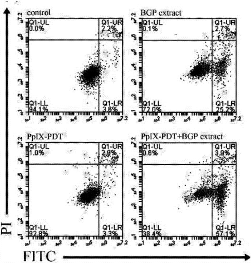 Application of Brazil green propolis in preparation of PDT antitumor synergistic drugs