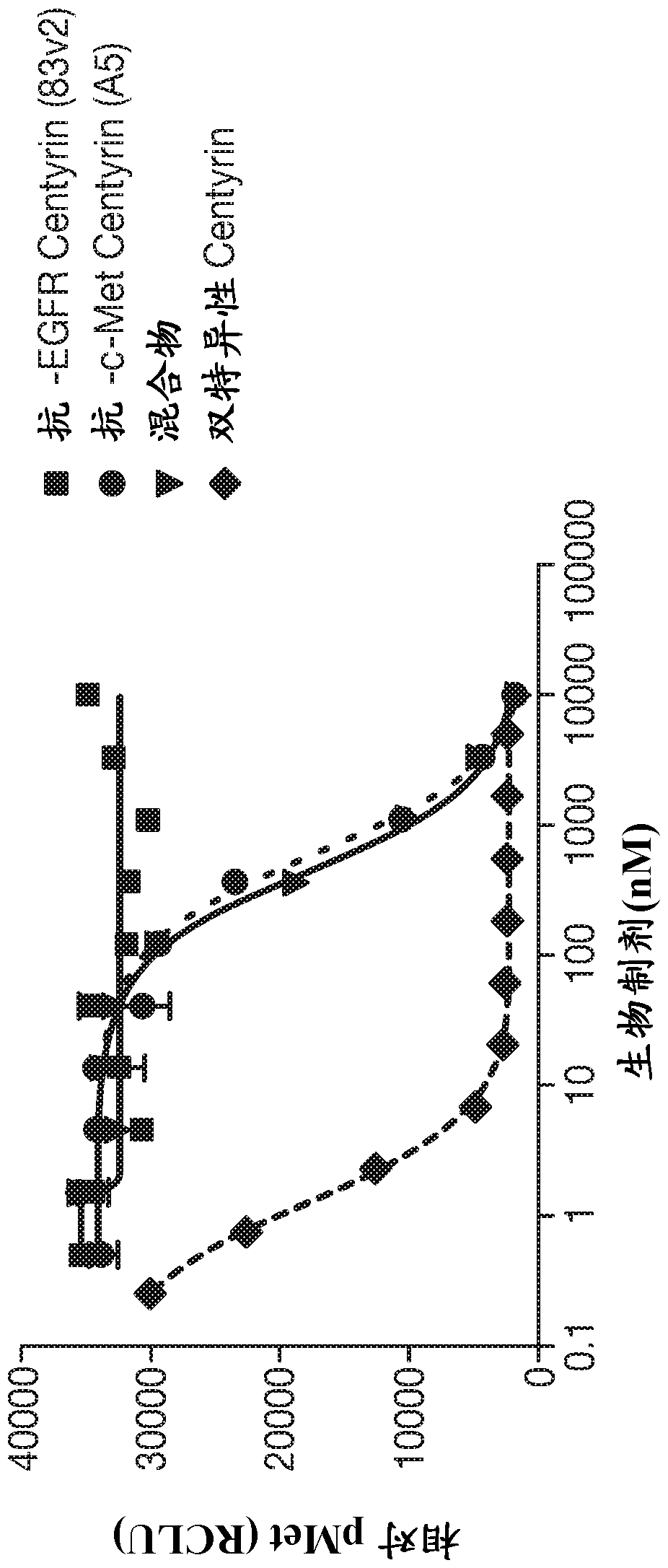 Cysteine engineered fibronectin type iii domain binding molecules