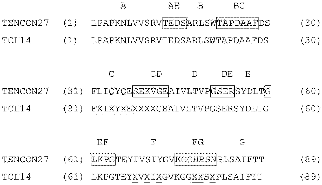 Cysteine engineered fibronectin type iii domain binding molecules