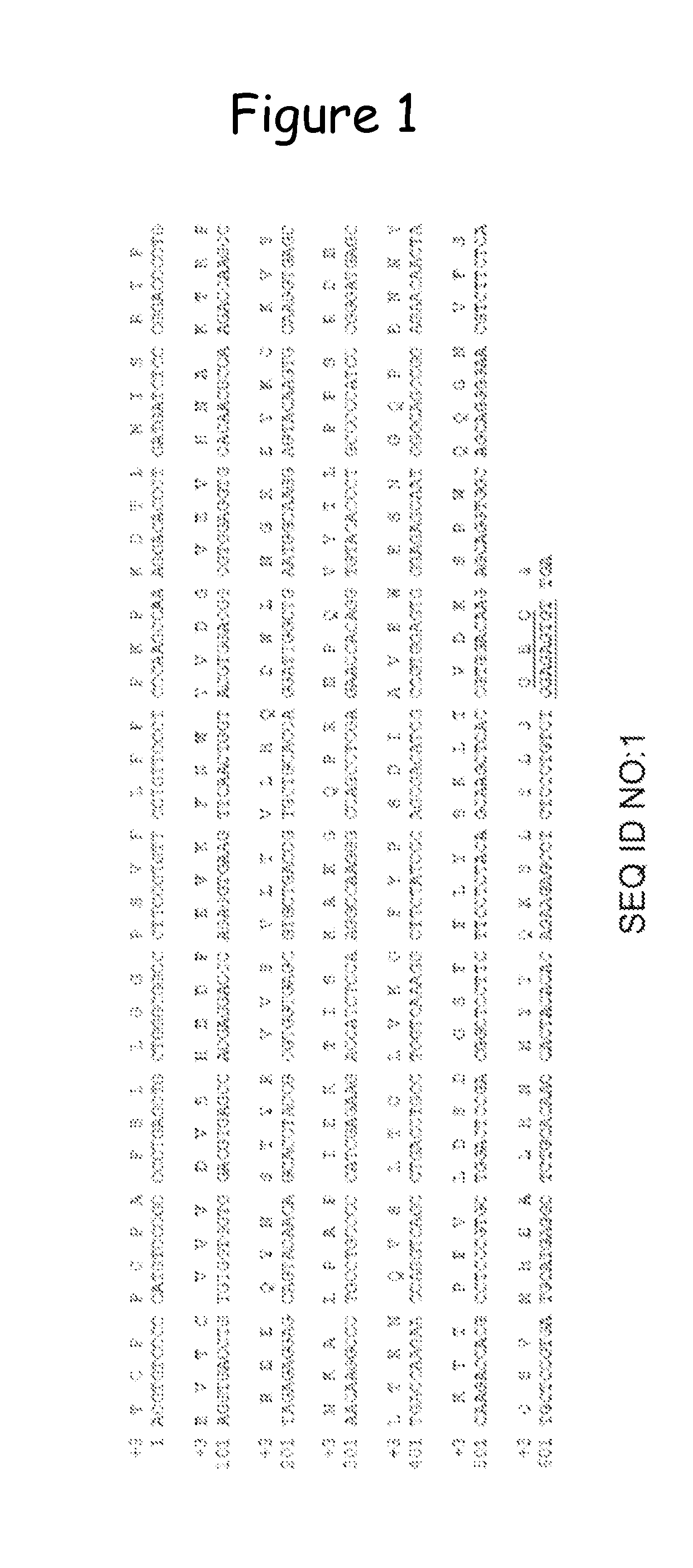 Stabilized immunoglobulin constant domains