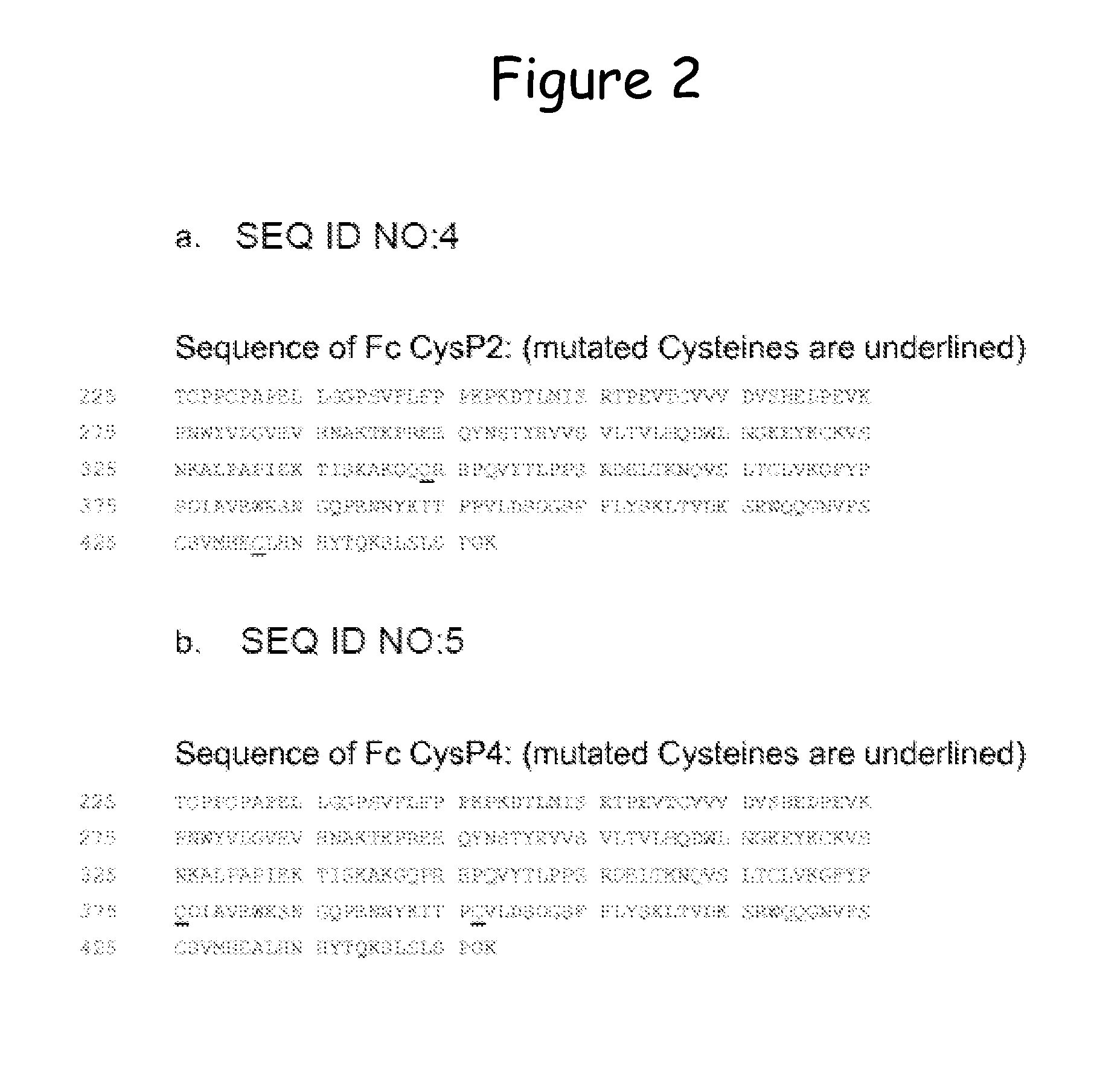 Stabilized immunoglobulin constant domains