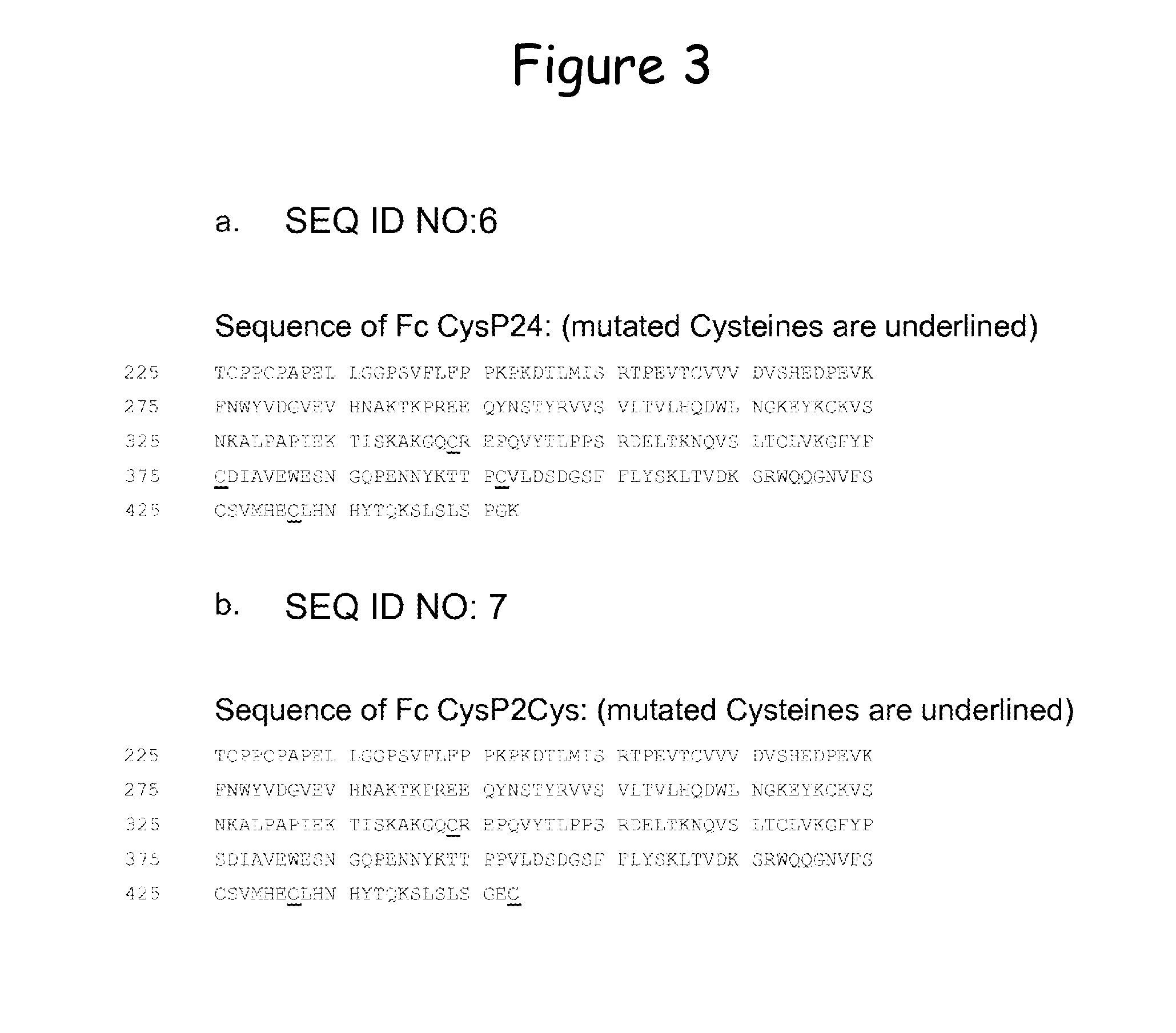 Stabilized immunoglobulin constant domains