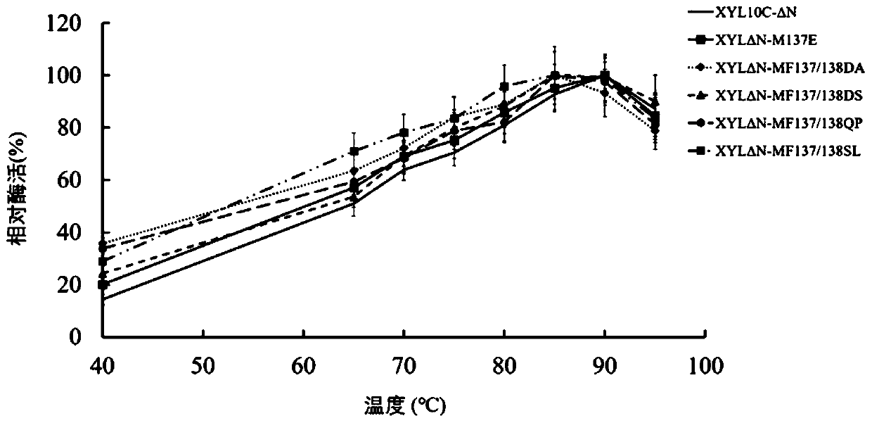 40 DEG C high-specific-activity xylanase mutant and construction method and application thereof