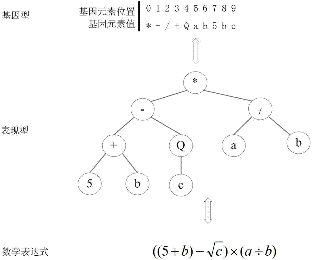 Ore rock intensity prediction method based on component thermodynamic gene expression programming