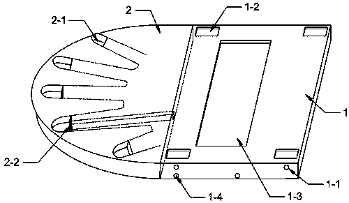 Dermatological hair shaving device for body surfaces with lesions