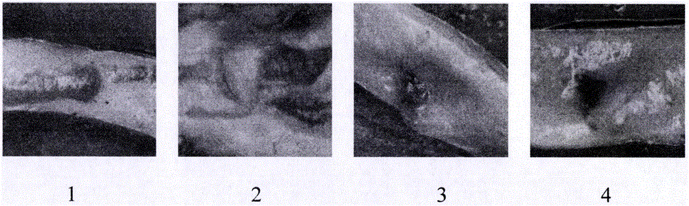 Pharmaceutical composition for treating atherosclerosis and application thereof