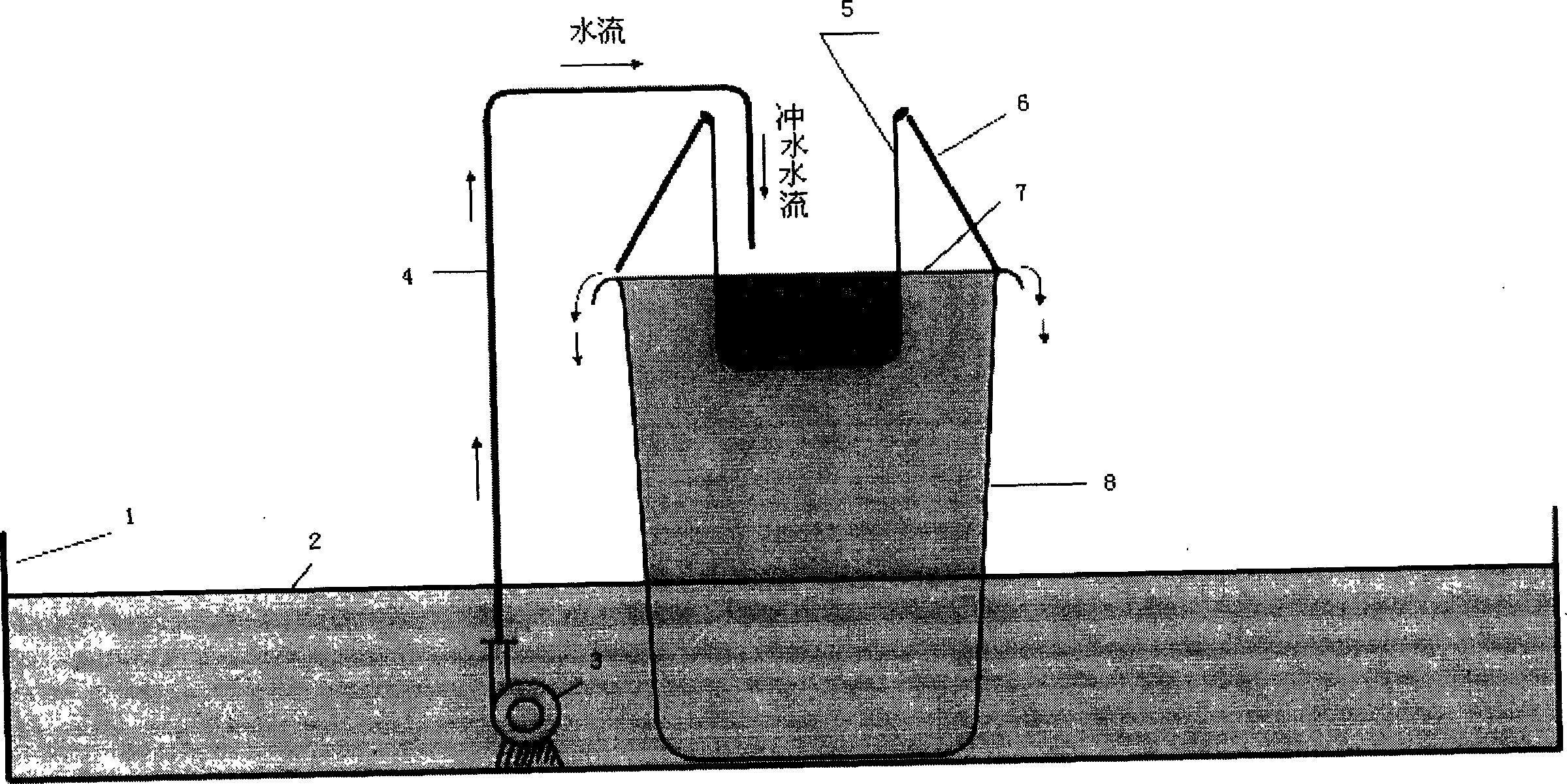 Porphyra suspended filamentous form cell ripening accelerating device and method