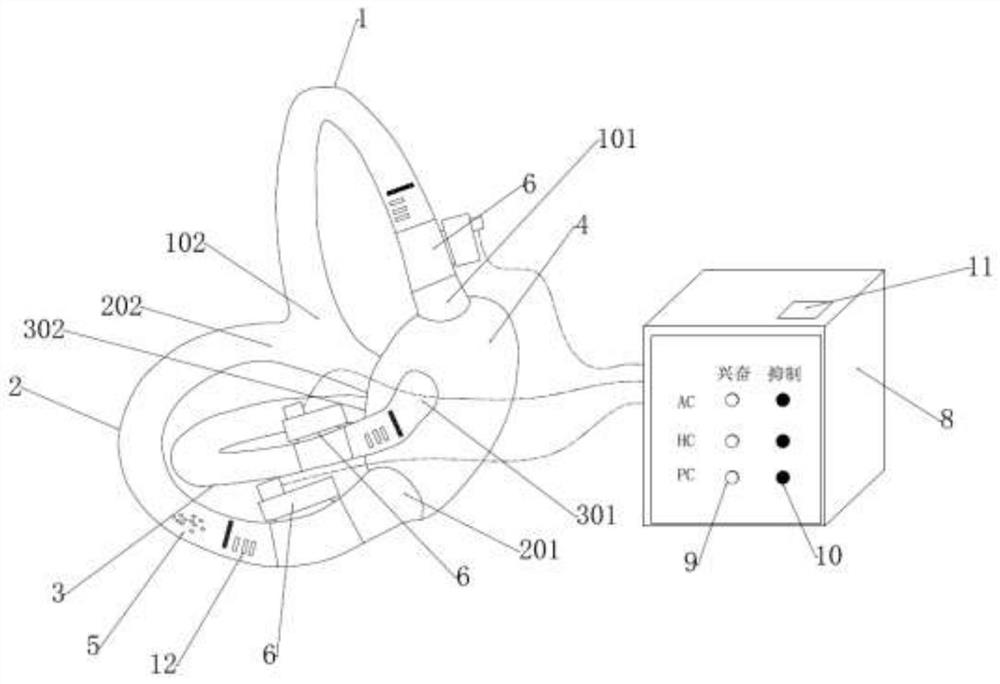 Display model of otolithiasis occurrence and reduction treatment mechanism