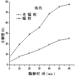 Processing method for improving enzymolysis efficiency of animal protein by utilizing high energy electron beam irradiation technology