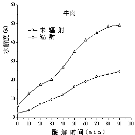 Processing method for improving enzymolysis efficiency of animal protein by utilizing high energy electron beam irradiation technology