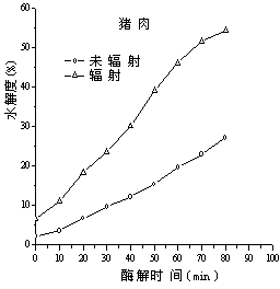 Processing method for improving enzymolysis efficiency of animal protein by utilizing high energy electron beam irradiation technology