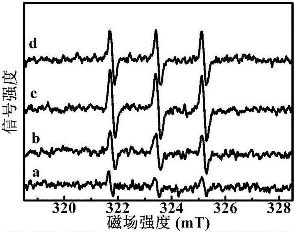 Nanometer magnesium oxide with dark-room sterilization and sewage degradation performance and method for preparing nanometer magnesium oxide