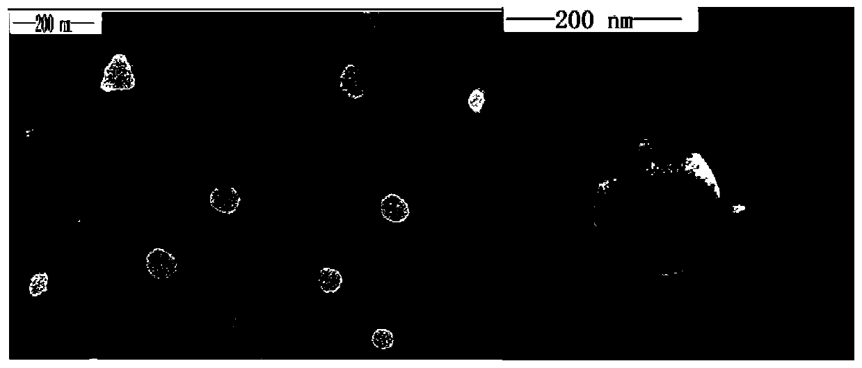 A polymer micelle capable of simultaneous administration of sorafenib and curcumin and preparation method thereof