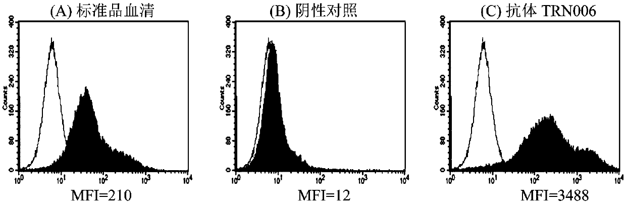 A fully human neutralizing antibody against rabies virus