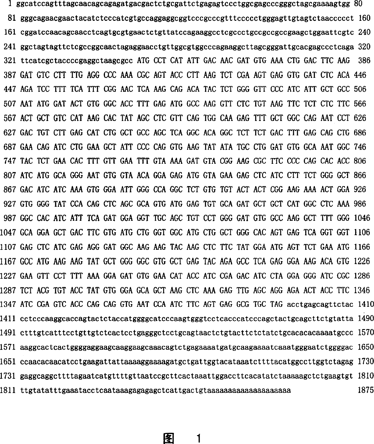 New human-phosphoguanosine reductase, its coding sequence and application