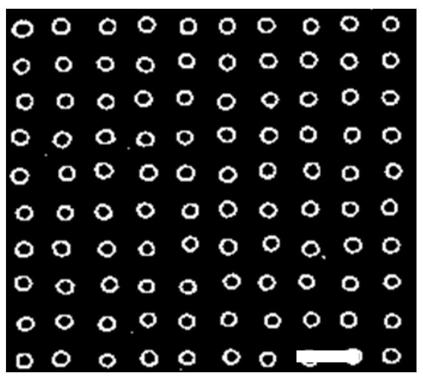 Surface-enhanced Raman scattering substrate based on metal nanobowl and preparation method thereof