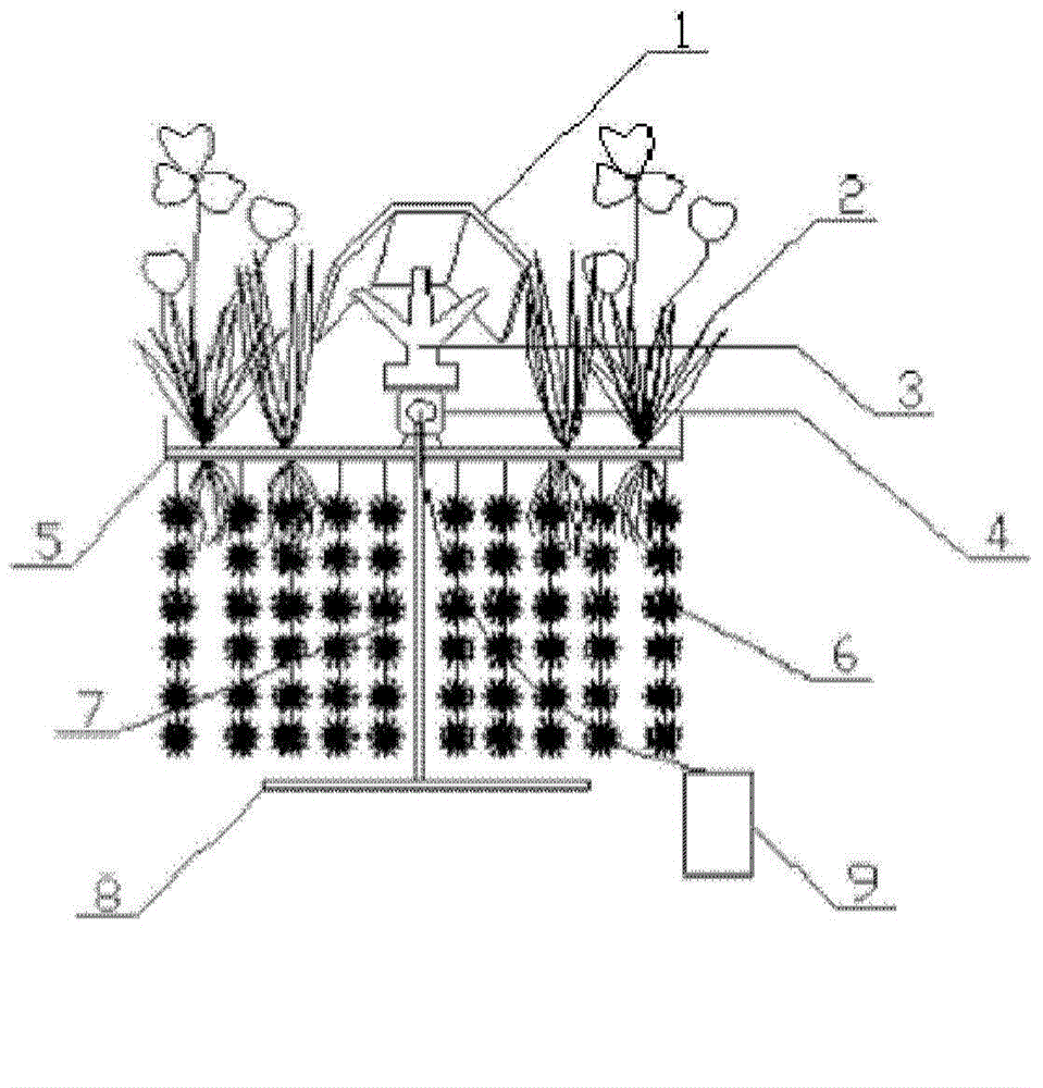 Floating type ecological water purification plant