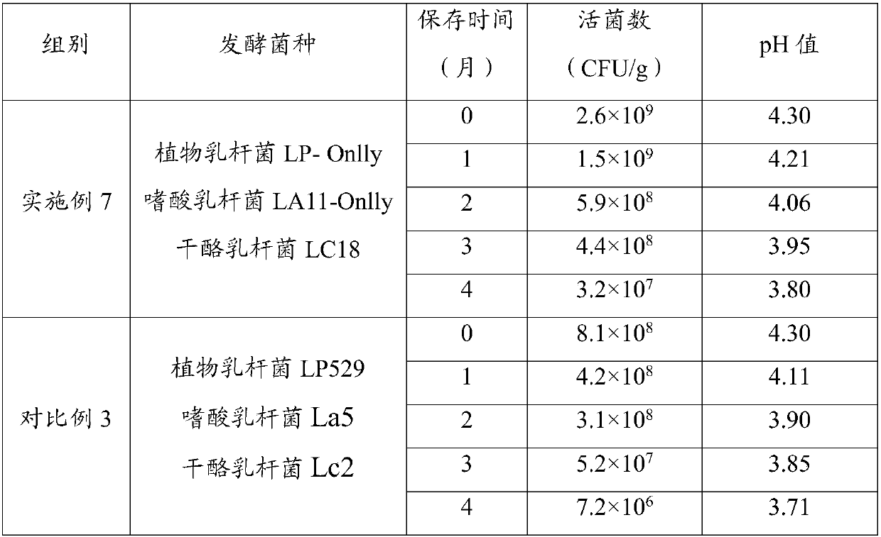 Compound probiotic medicinally and edibly homologous plant fermented drink and preparation method thereof