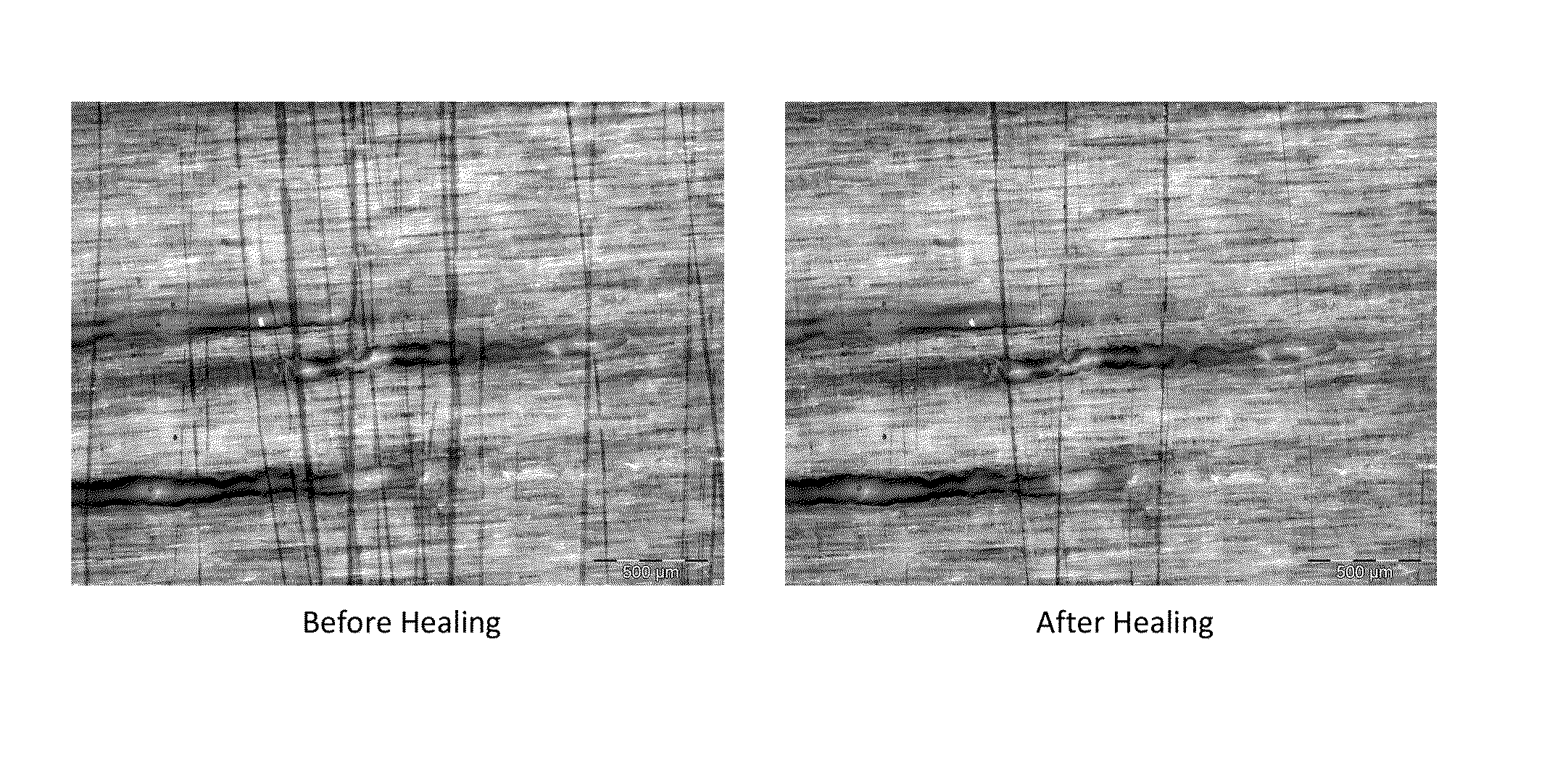 Self-healing polymer nanocomposite coatings for use on surfaces made of wood