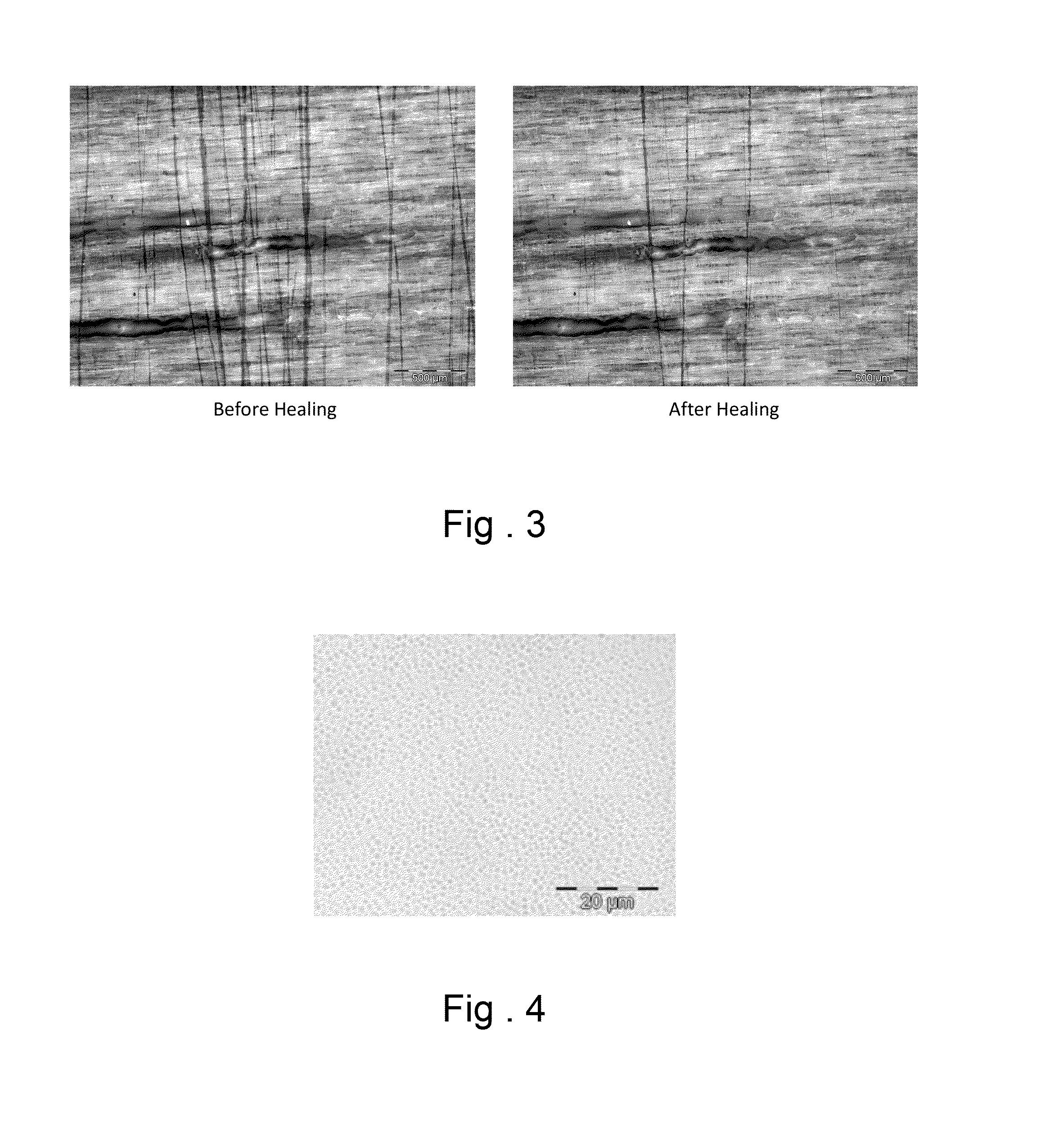 Self-healing polymer nanocomposite coatings for use on surfaces made of wood