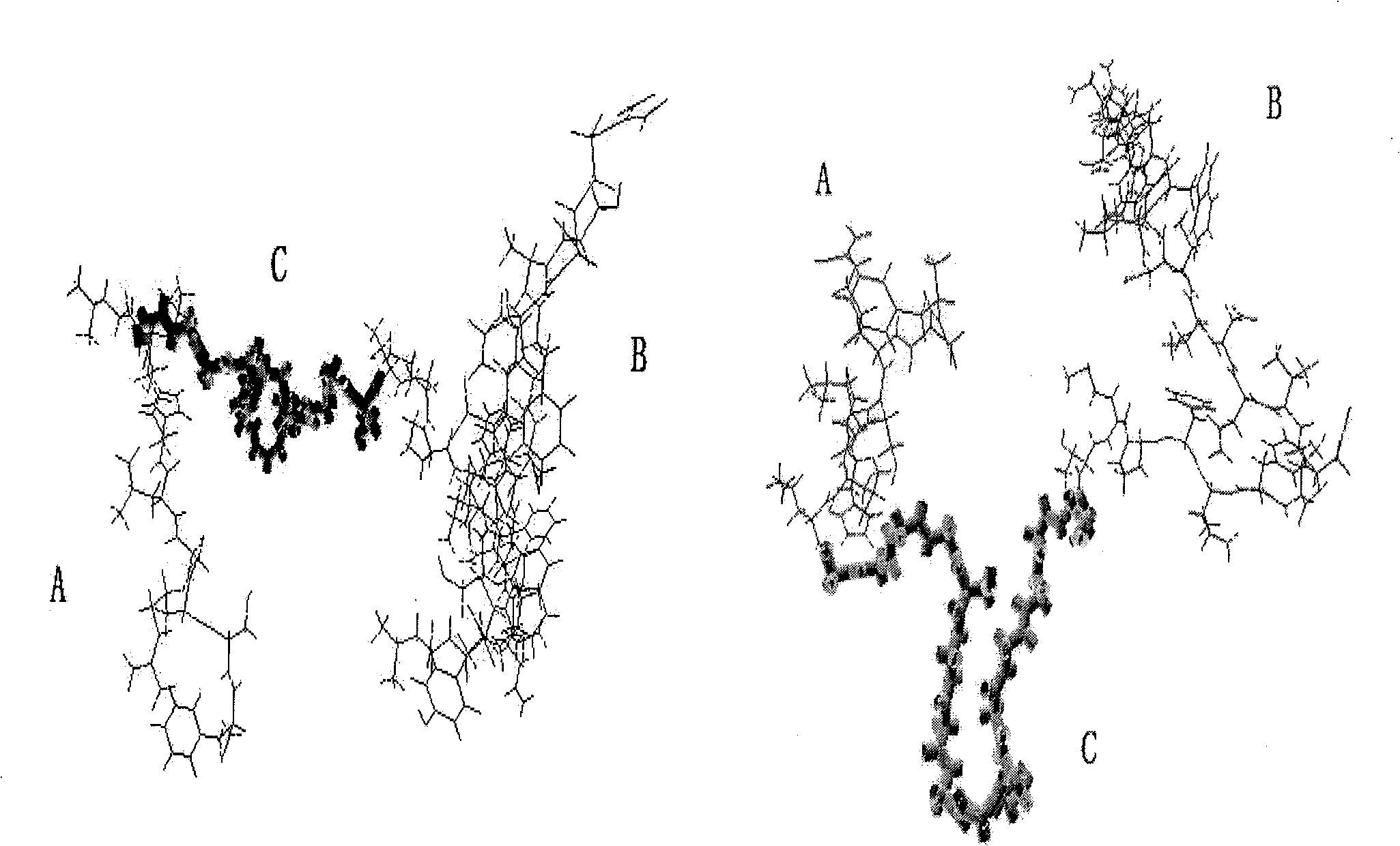 Recombination NuBCP-9 and Tumstatin(74-98) antitumor fusion polypetide