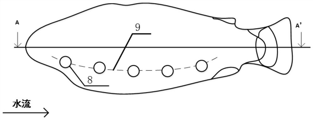 An underwater bionic lateral line sensing array