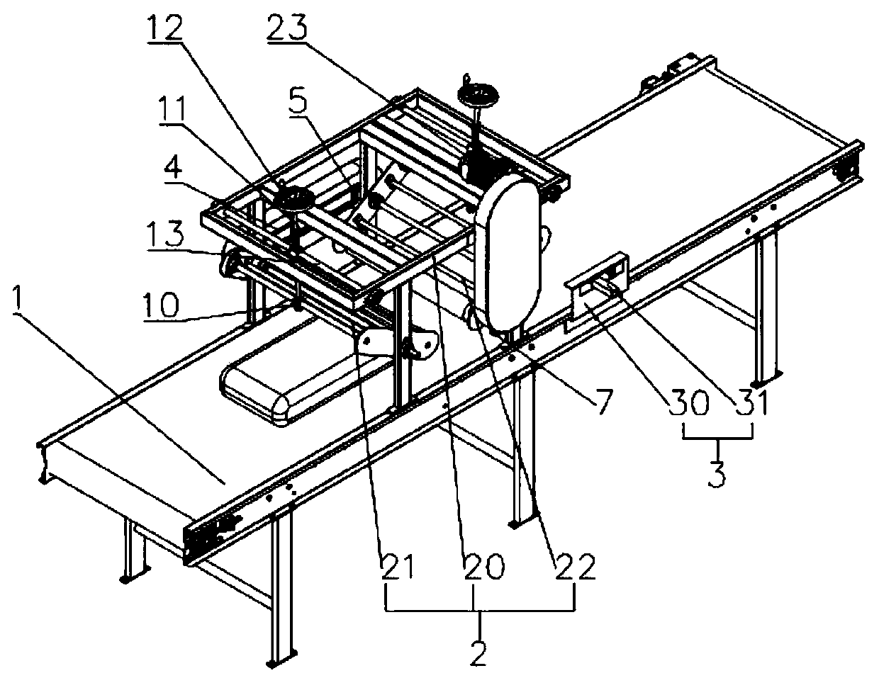 Shape flattening and information visual detection machine for bagged products