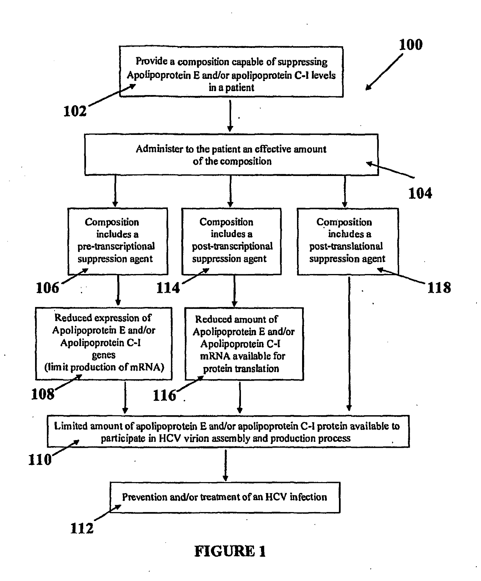 Compositions and Methods for Controlling Hepatitis C Virus Infection