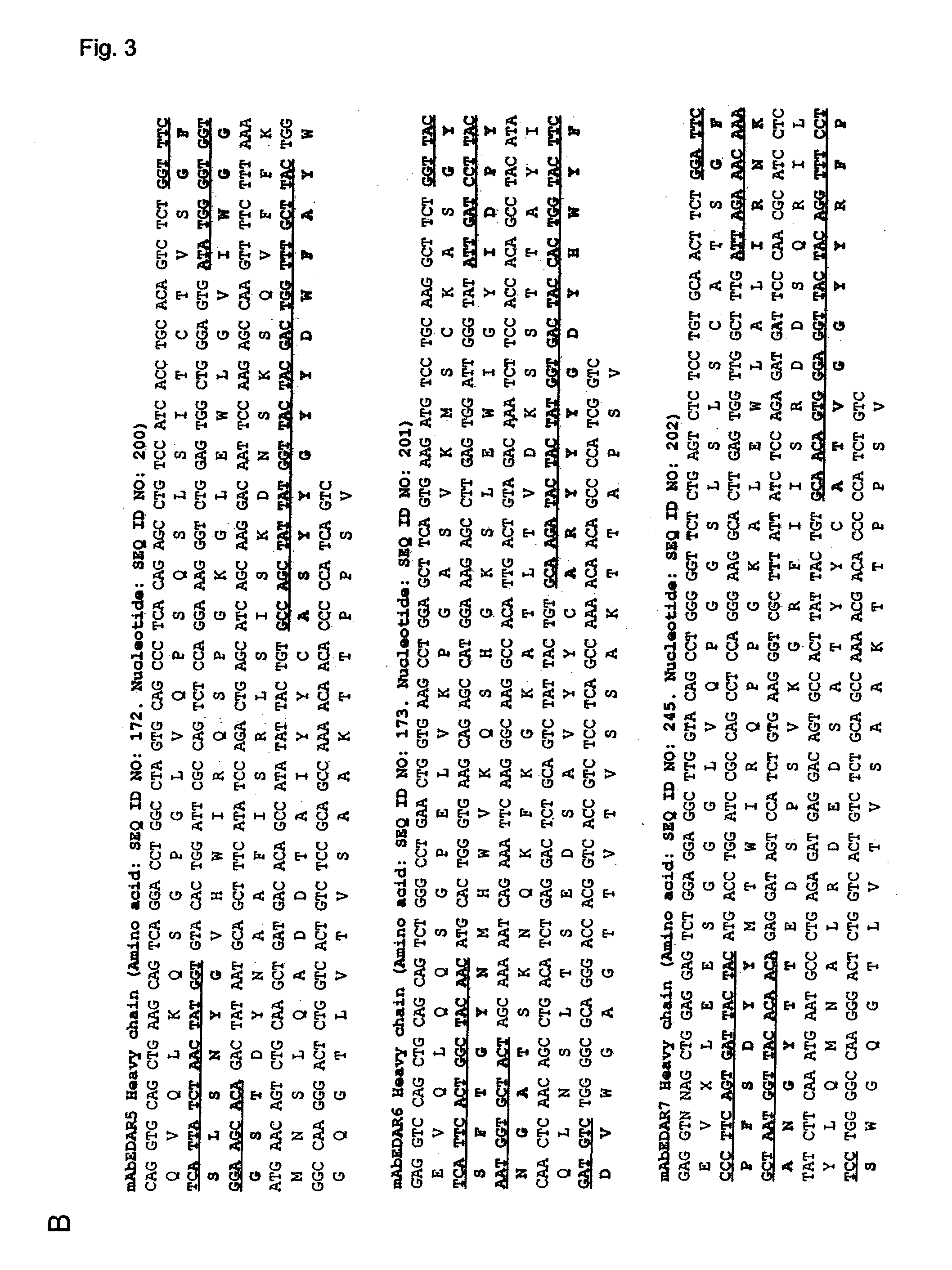 Preparation of isolated agonist anti-EDAR monoclonal antibodies