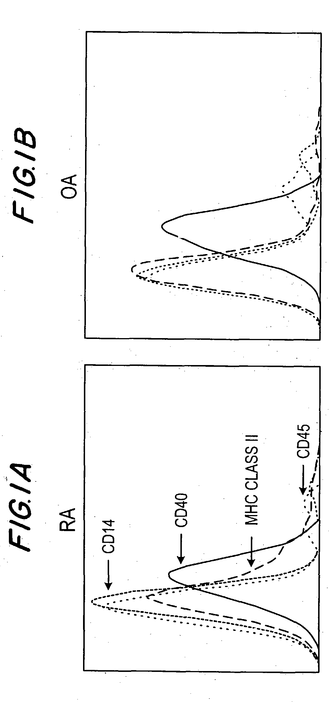 Therapeutic applications for the anti-T-BAM (CD40-1) monoclonal antibody 5C8