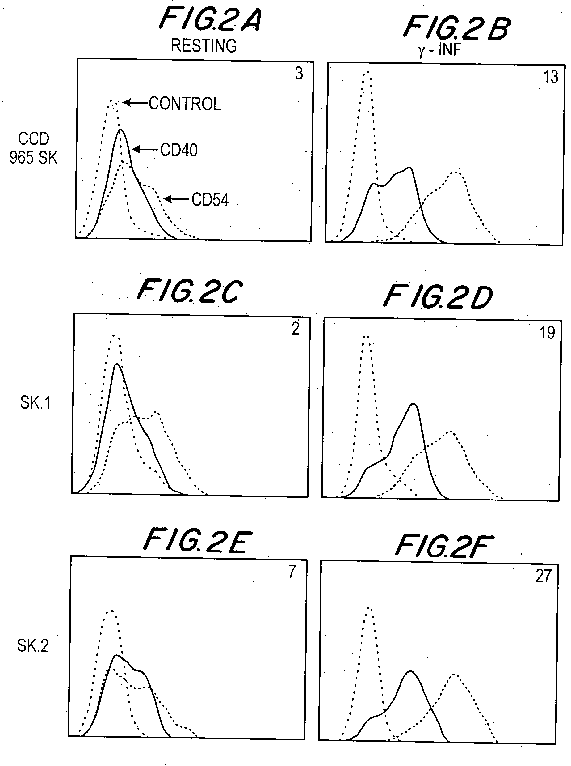 Therapeutic applications for the anti-T-BAM (CD40-1) monoclonal antibody 5C8