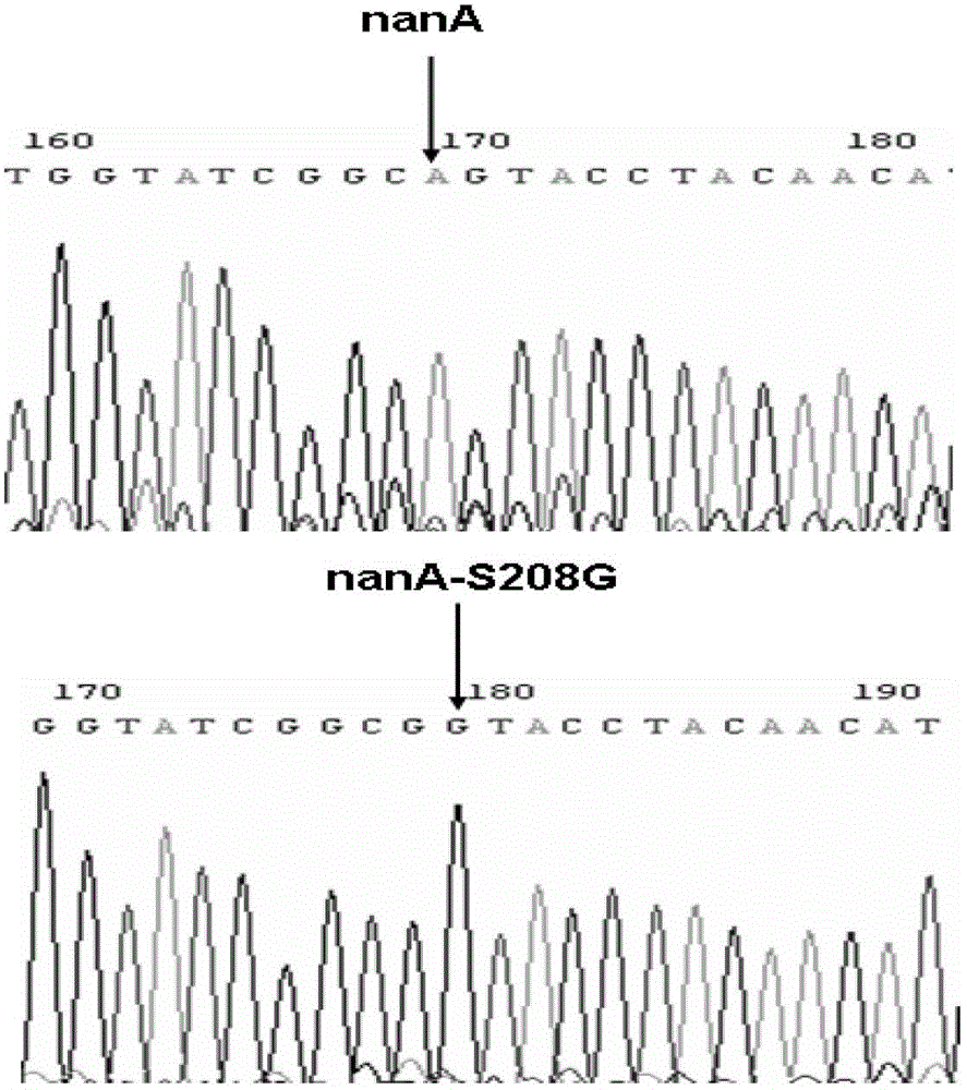 Re-engineering mediated site-directed mutagenesis method