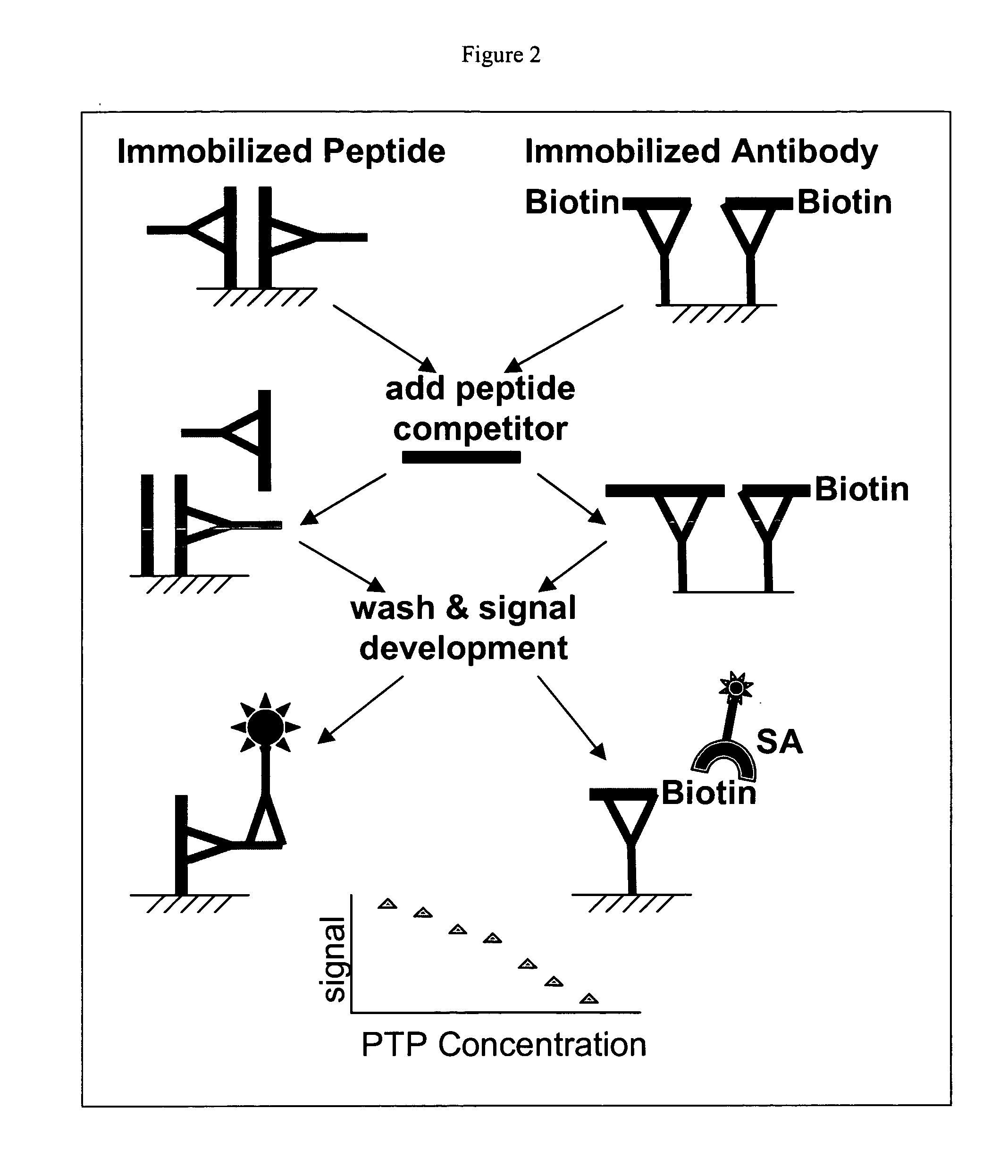 Small molecule and peptide arrays and uses thereof