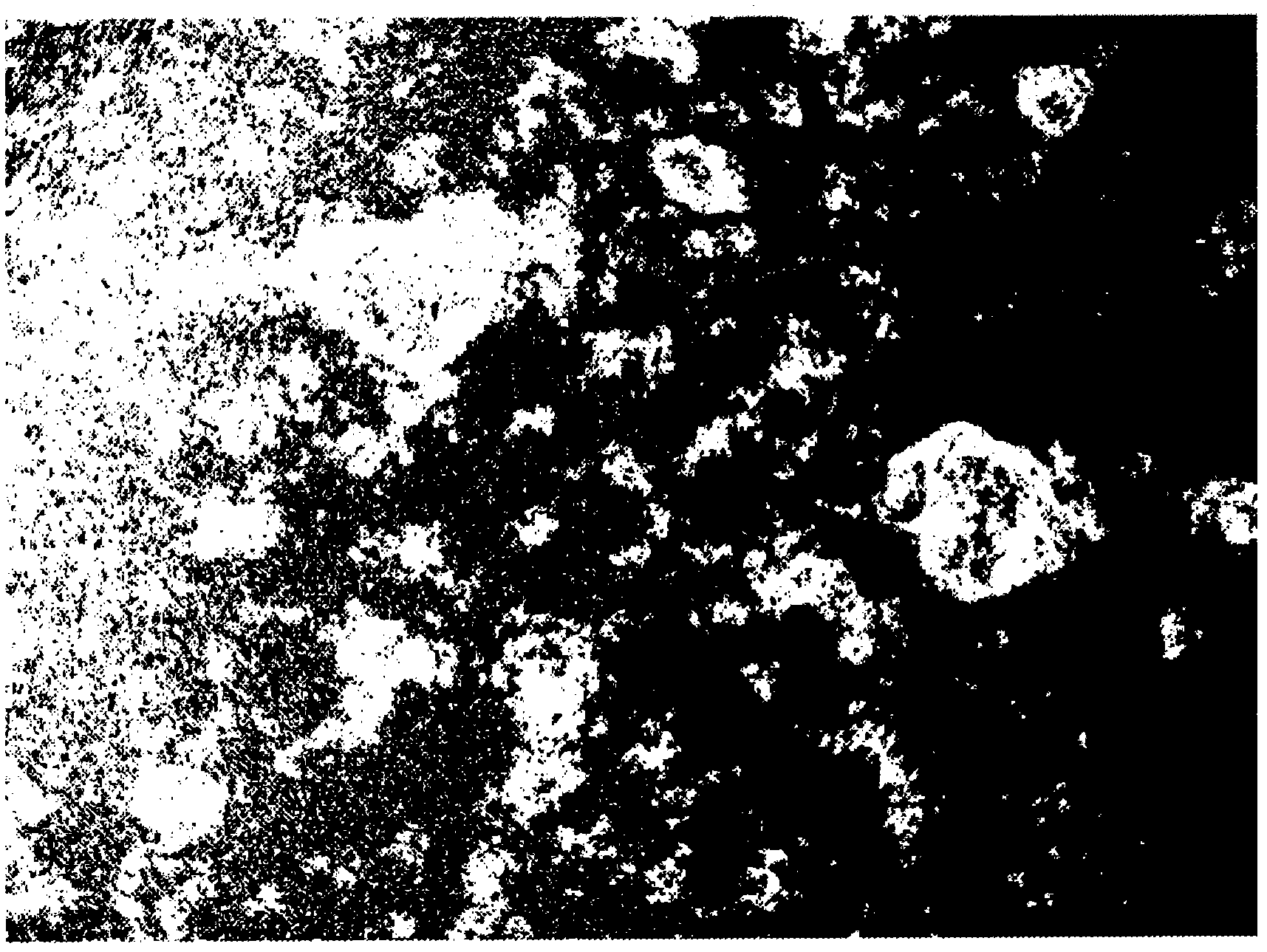 Thick liquid food containing soybean protein