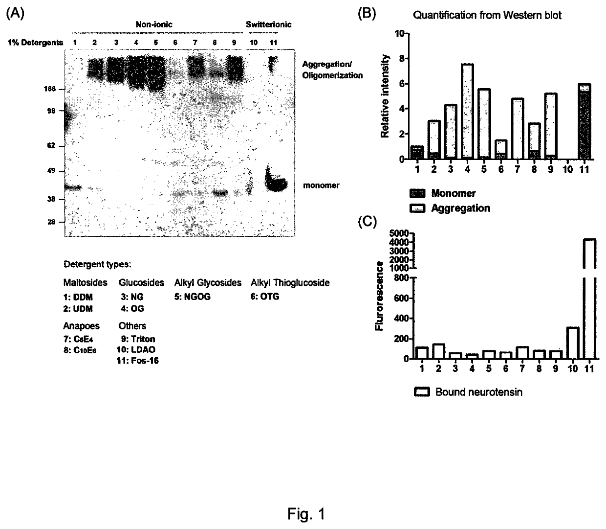 Detection of membrane proteins